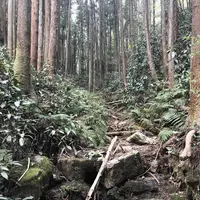 宿谷の滝の写真・動画_image_188105