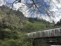宿谷の滝の写真・動画_image_188106