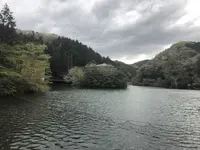 鎌北湖の写真・動画_image_188113