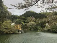 鎌北湖の写真・動画_image_188116