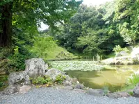 大福寺の写真・動画_image_188610