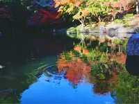 成田山公園の写真・動画_image_188705