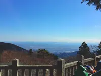 大山阿夫利神社の写真・動画_image_188768