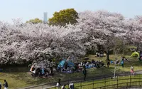 本牧山頂公園の写真・動画_image_189366