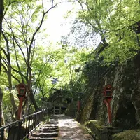 愛宕念仏寺の写真・動画_image_189380
