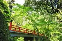 今熊野観音寺の写真・動画_image_189988