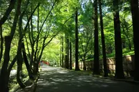今熊野観音寺の写真・動画_image_190005