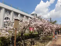 造幣博物館の写真・動画_image_190939