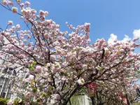 造幣博物館の写真・動画_image_190940