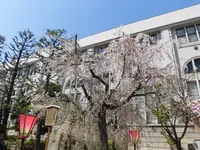 造幣博物館の写真・動画_image_190941