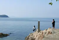竹島の写真・動画_image_191160