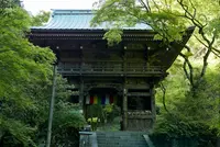 槙尾山施福寺の写真・動画_image_191338
