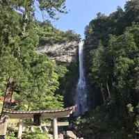 那智の滝の写真・動画_image_194420