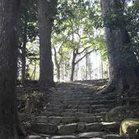 那智の滝の写真・動画_image_194421