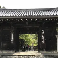野々宮神社の写真・動画_image_194590