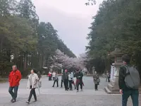 北海道神宮の写真・動画_image_194882