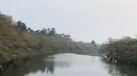 弘前公園の写真・動画_image_194892
