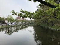 弘前公園の写真・動画_image_194898