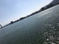 琵琶湖の写真・動画_image_195035