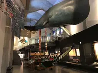 キラメッセ室戸 鯨館の写真・動画_image_195096