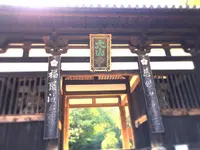 太山寺の写真・動画_image_196003