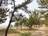 あらい浜風公園の写真・動画_image_196329