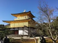 京都世界遺産巡りの写真・動画_image_198699