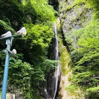 絹掛の滝の写真・動画_image_200254