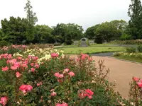 春日池公園の写真・動画_image_202756