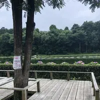智光山公園前山池の写真・動画_image_204403