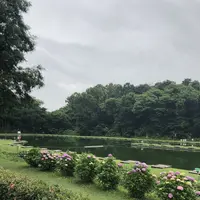 智光山公園前山池の写真・動画_image_204408