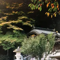 高麗神社の写真・動画_image_204498