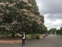 ロイヤル・ボタニック・ガーデンズ, キュー（Royal Botanic Gardens, Kew）の写真・動画_image_205004