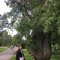 ロイヤル・ボタニック・ガーデンズ, キュー（Royal Botanic Gardens, Kew）の写真・動画_image_205006