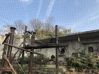 東山動物園の写真・動画_image_207009