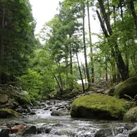 道志の森キャンプ場の写真・動画_image_209090