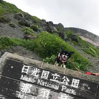 那須ロープウェイの写真・動画_image_209296