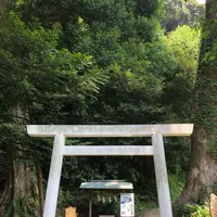 伊豆山神社の写真・動画_image_209936