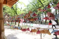 真田神社の写真・動画_image_210342