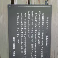 報徳二宮神社の写真・動画_image_211736
