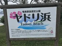 ヤドリ浜自然海水浴場の写真・動画_image_212077