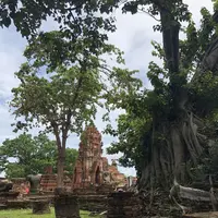 Wat Mahathat（ワット・マハタート）の写真・動画_image_212435