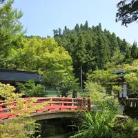 諏訪神社の写真・動画_image_212615