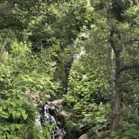 三段の滝の写真・動画_image_212777