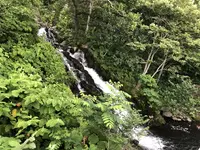 三段の滝の写真・動画_image_212779