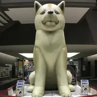 秋田駅の写真・動画_image_213435