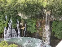 しらひげの滝の写真・動画_image_213730