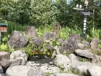 原始の泉の写真・動画_image_213735