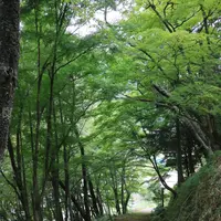 歓楽寺の写真・動画_image_214155