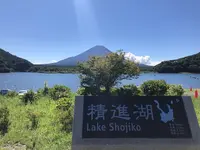 精進湖の写真・動画_image_215821